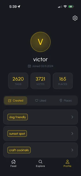 Your profile and tags
